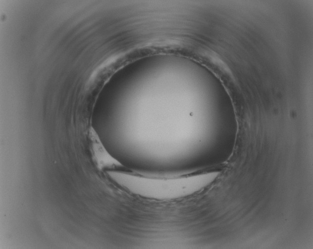 X0000077360920200611101635