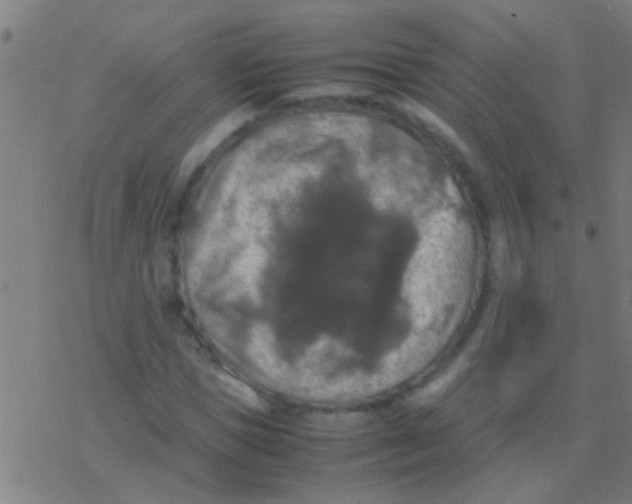 X0000077360921200611101635