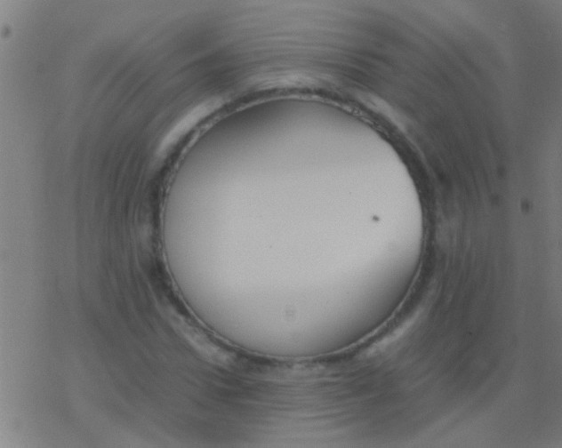 X0000077360922200611101635