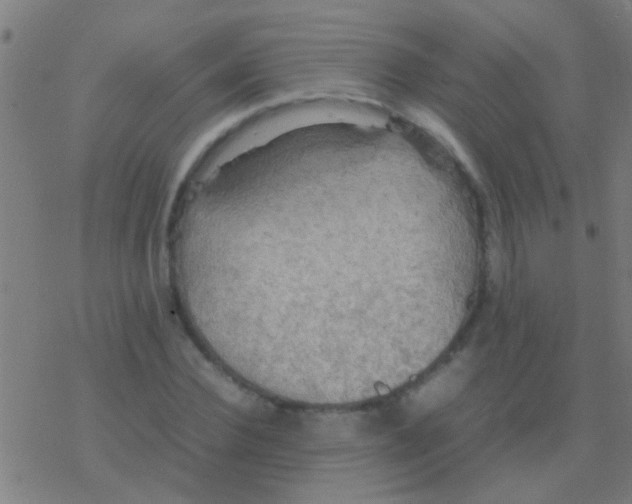 X0000077360924200611101635