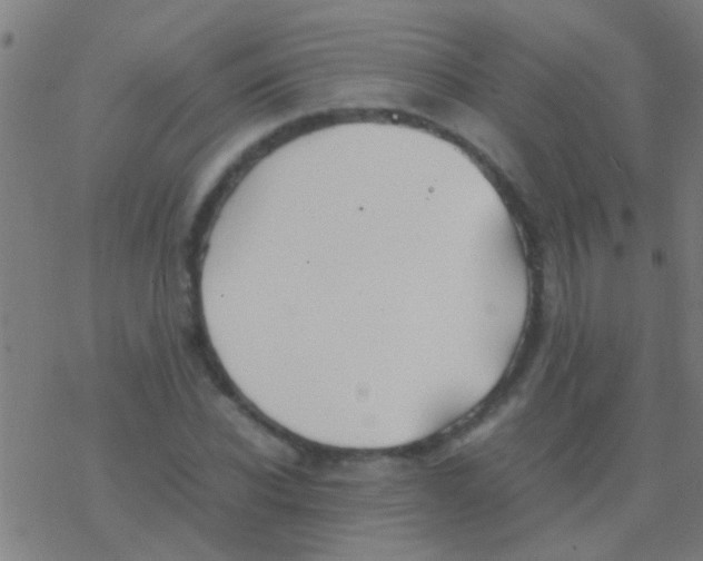 X0000077360926200611101635