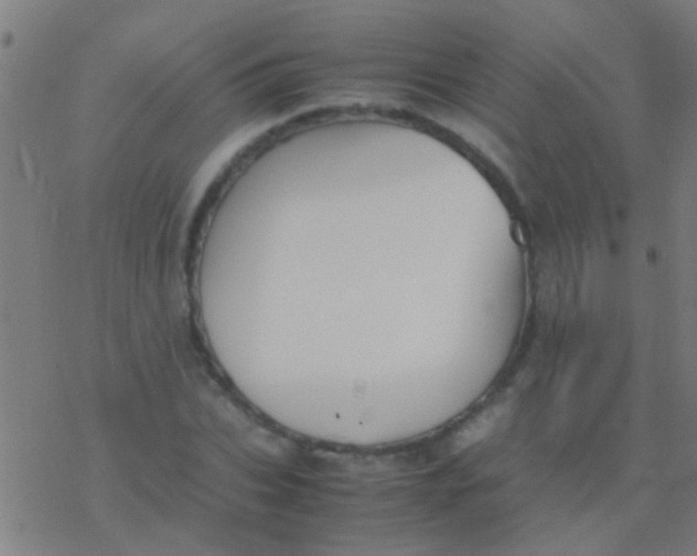 X0000077360927200611101635