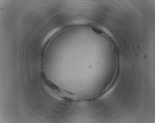 X0000077360930200611101635