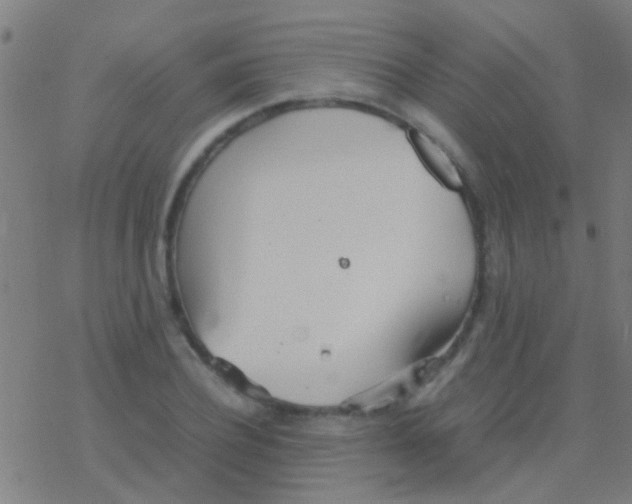 X0000077360932200611101635