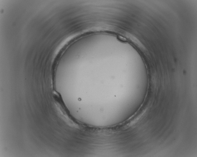 X0000077360934200611101635