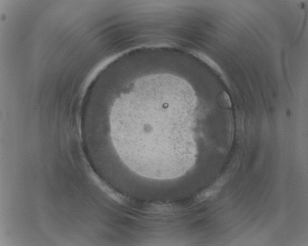 X0000077360935200611101635