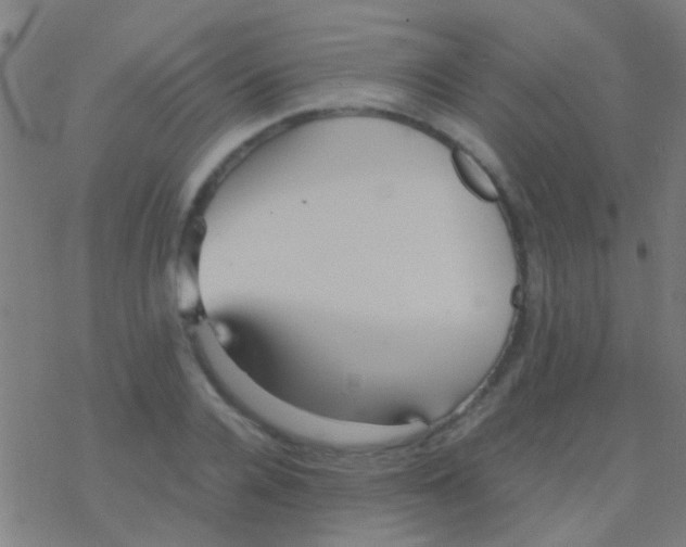 X0000077360936200611101635