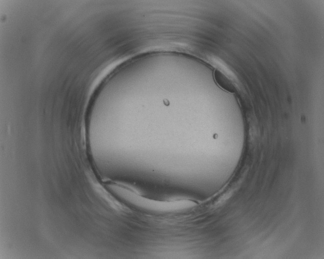 X0000077360940200611101635