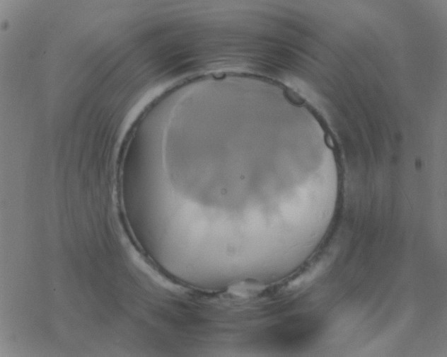 X0000077360941200611101635