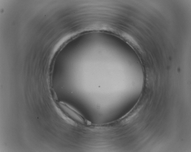 X0000077360942200611101635