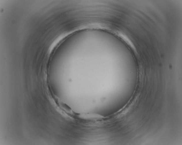 X0000077360944200611101635