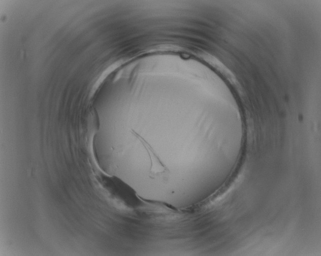 X0000077360945200611101636