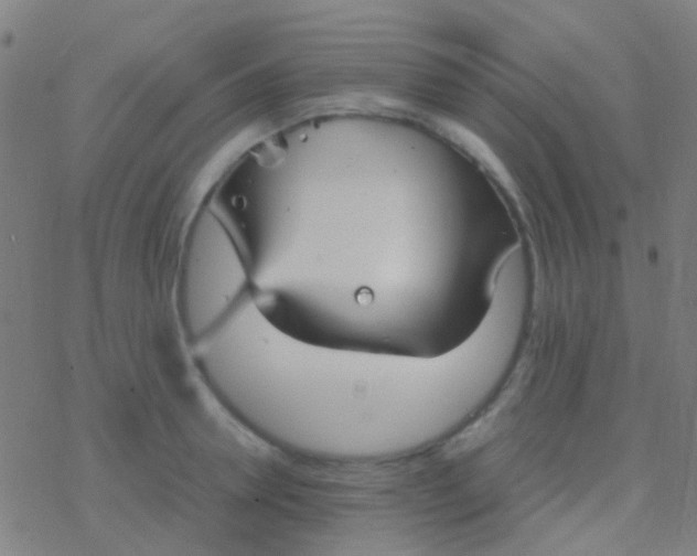 X0000077360946200611101636