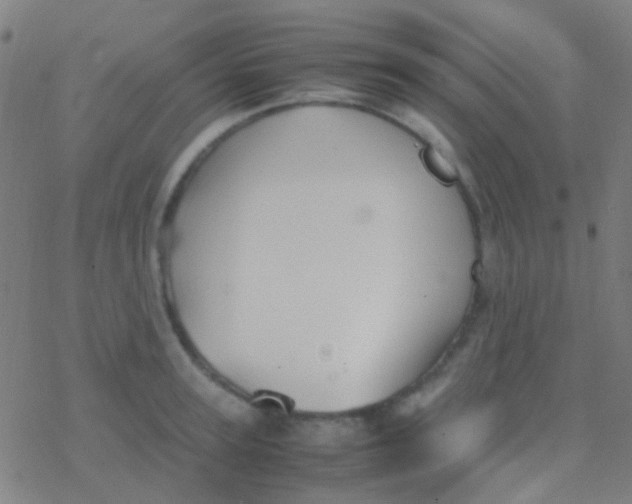 X0000077360947200611101636