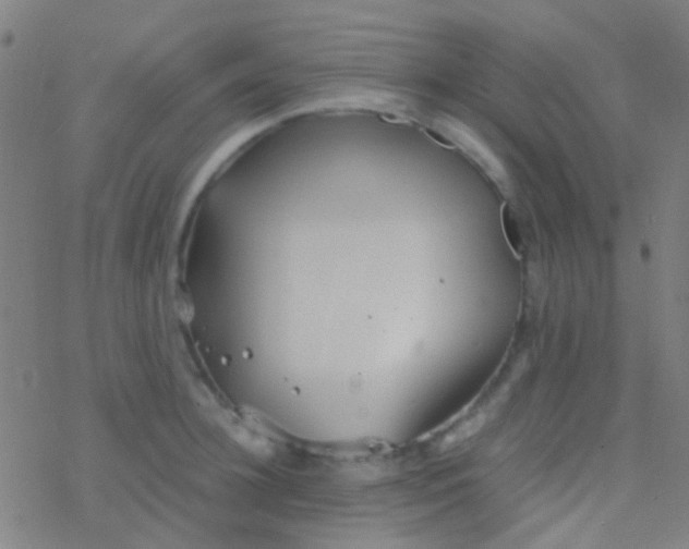 X0000077360948200611101636