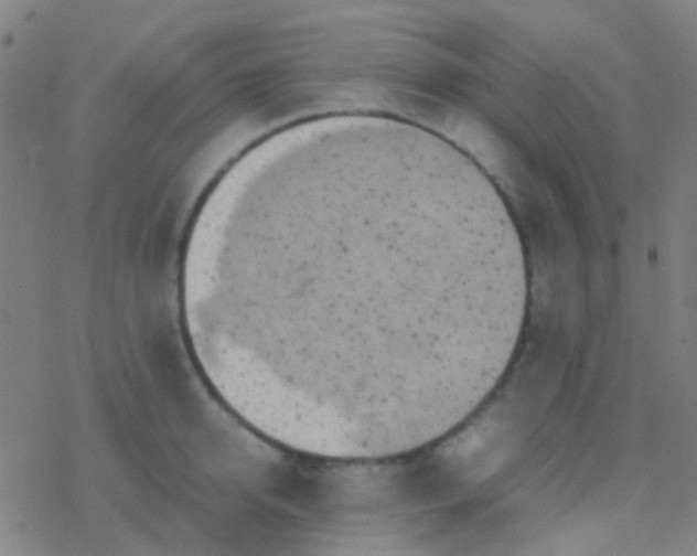 X0000077360950200611101636