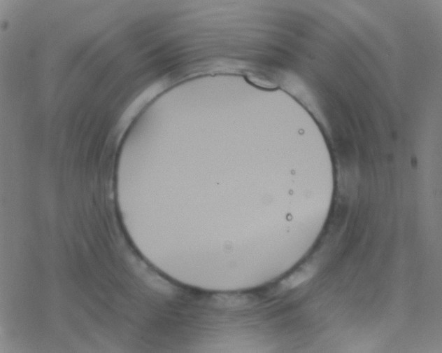 X0000077360954200611101636