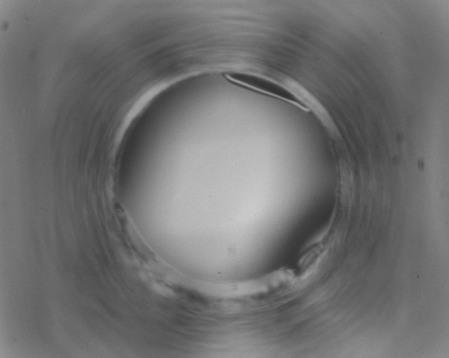 X0000077360956200611101636