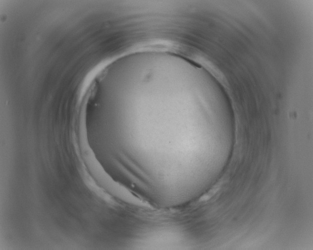 X0000077360960200611101636