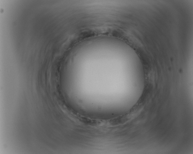 X0000077360961200611101635