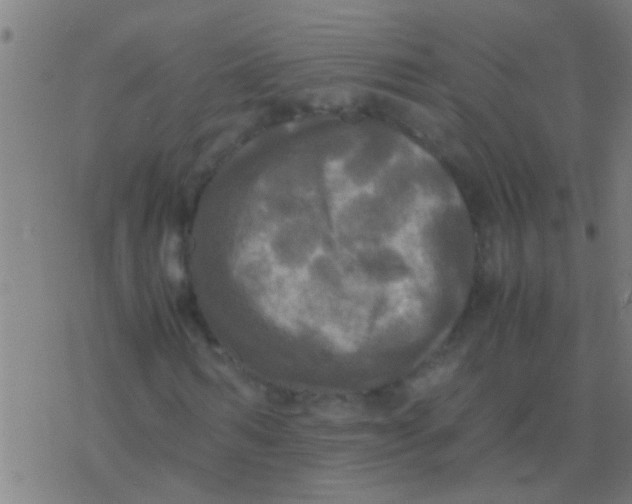 X0000077360962200611101635