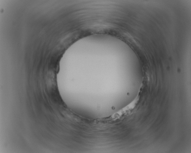 X0000077360964200611101635