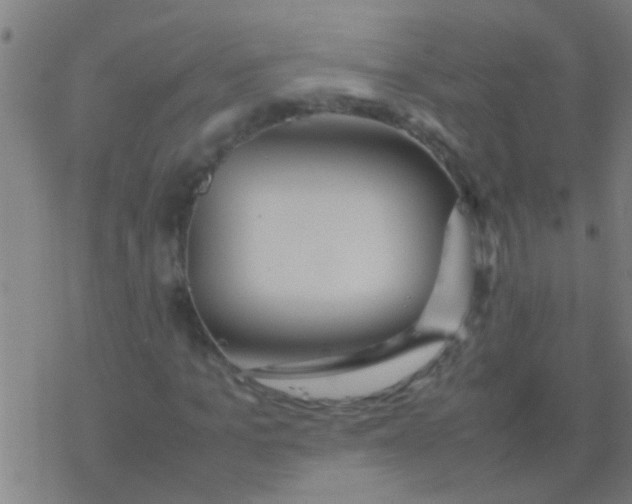 X0000077360965200611101635