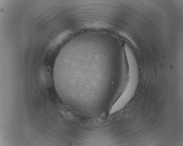 X0000077360968200611101635