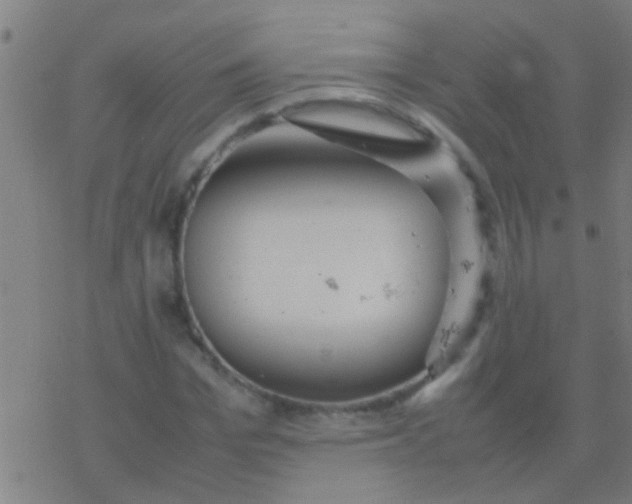 X0000077360969200611101635