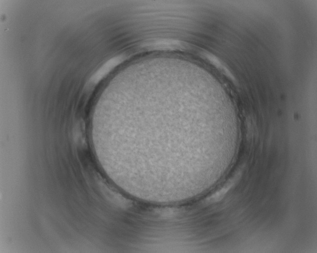 X0000077360970200611101635