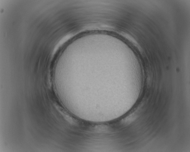 X0000077360974200611101635