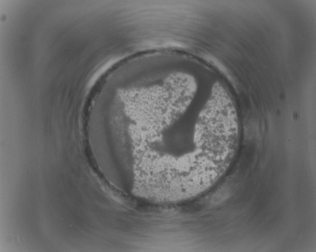 X0000077360975200611101635