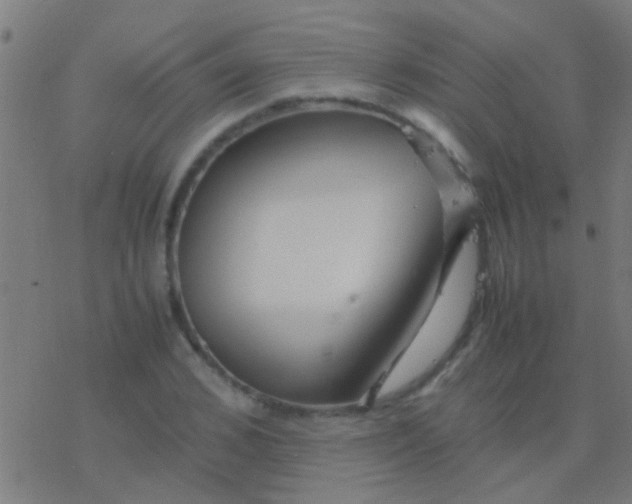 X0000077360976200611101635