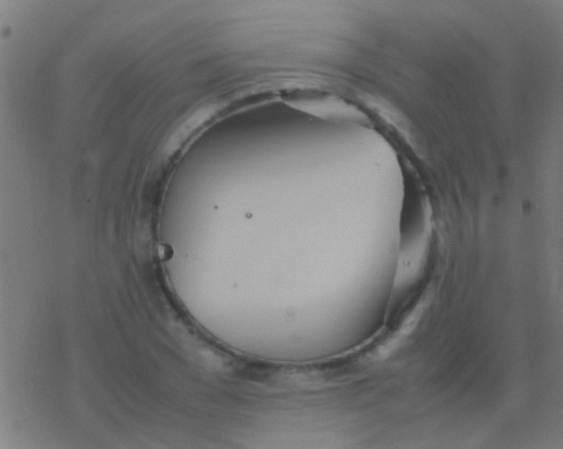 X0000077360977200611101635