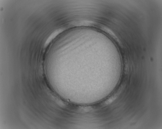 X0000077360978200611101635