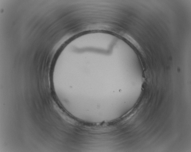 X0000077360980200611101635