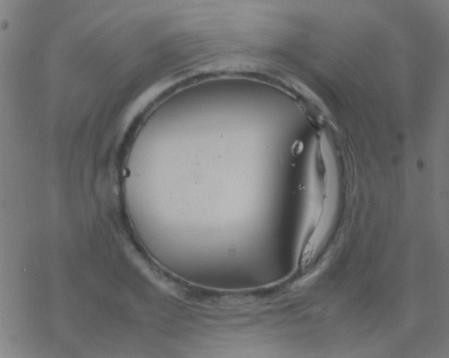 X0000077360981200611101635