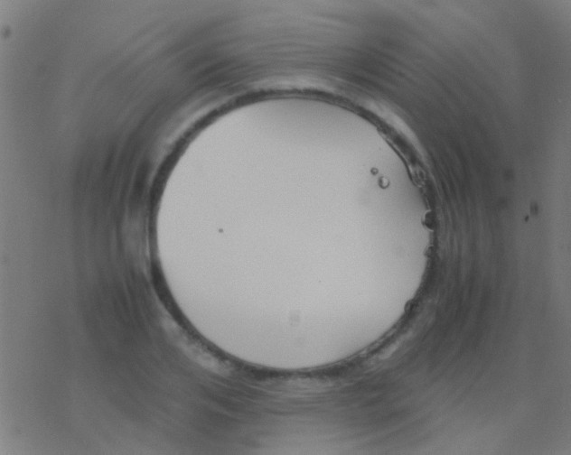 X0000077360984200611101635