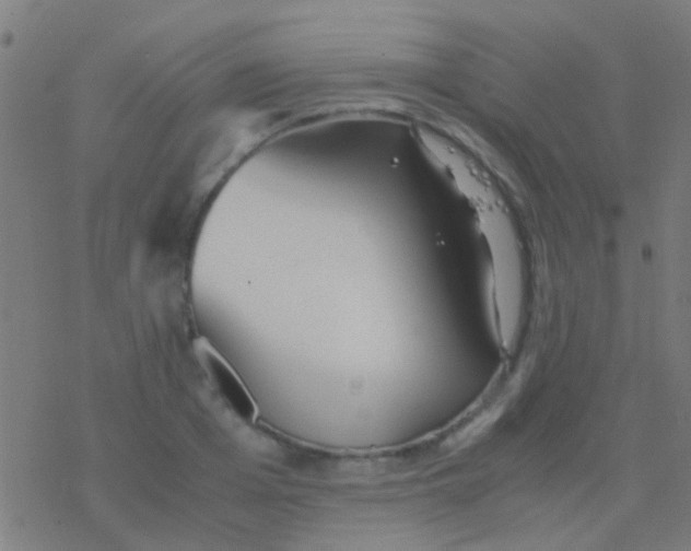 X0000077360985200611101635