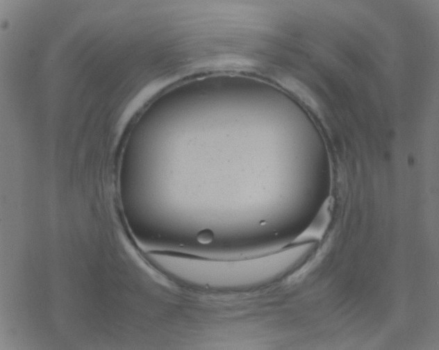 X0000077360989200611101635