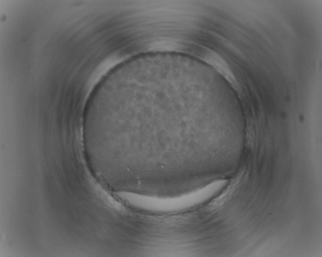 X0000077360992200611101634