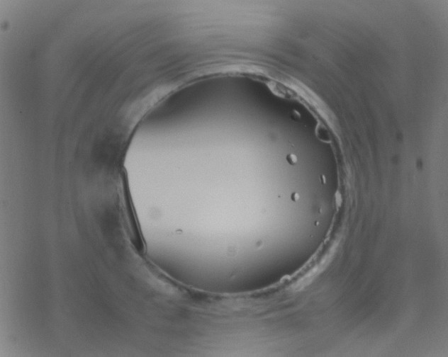 X0000077360993200611101634