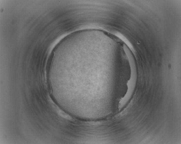 X0000077360996200611101634