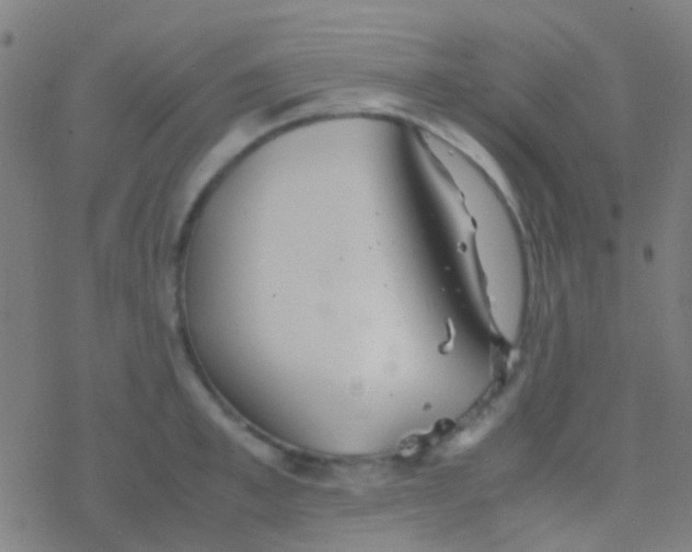 X0000077360997200611101634