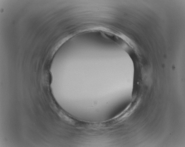 X0000077361001200611101634