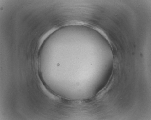 X0000077361003200611101634