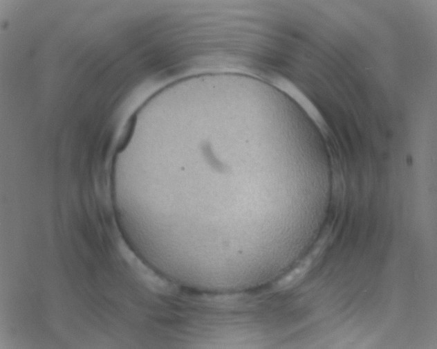 X0000077361004200611101634