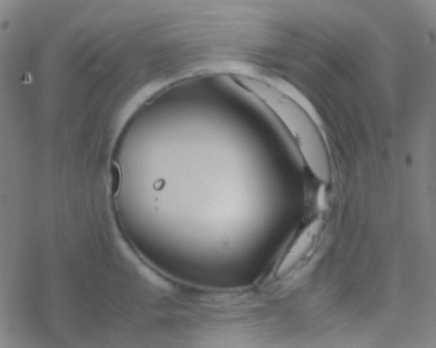 X0000077361005200611101634