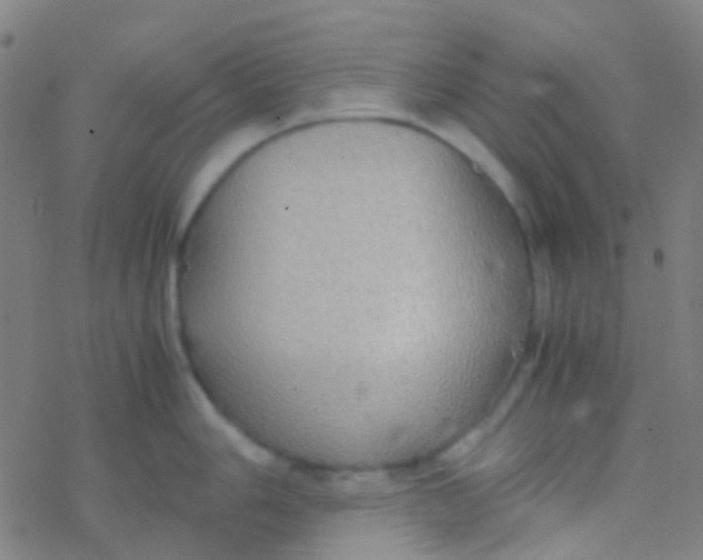 X0000077361006200611101634