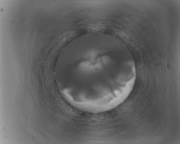 X0000077361009200611101633